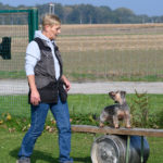 Rettungshunde Training ©ABLICHTEREI e.U. - Claudia Spieß